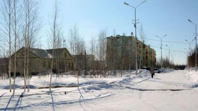 انقطاع الكهرباء عن 78 ألف مواطن روسي بسبب انخفاض الحرارة