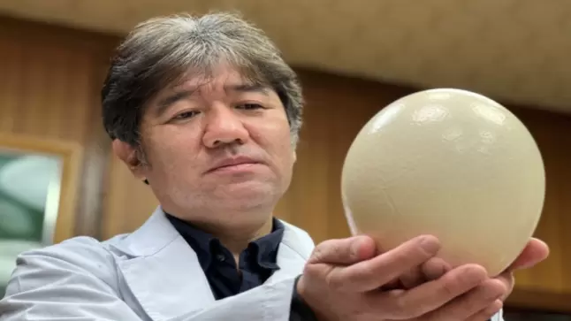 اختراع ياباني غريب لمحاربة كورونا: مصنوعة من بيض النعام