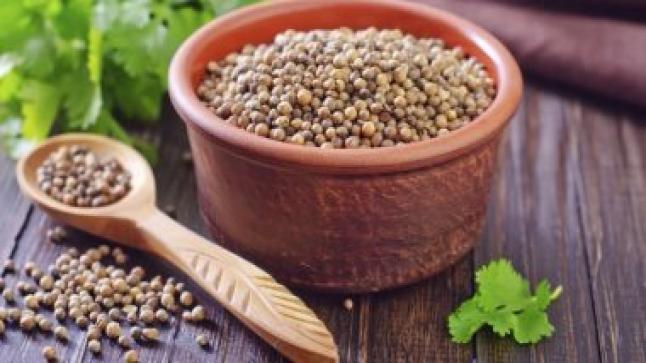 تعرف على أفضل توابل لتعزيز الهضم وصحة الأمعاء